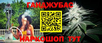 spice Камышлов