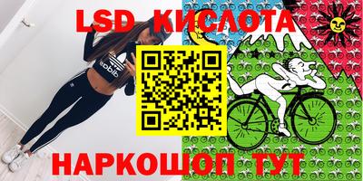гашик Кандалакша