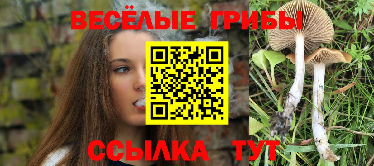 Псилоцибиновые грибы ЛСД  Вход с VPN  где купить наркоту  Биробиджан 