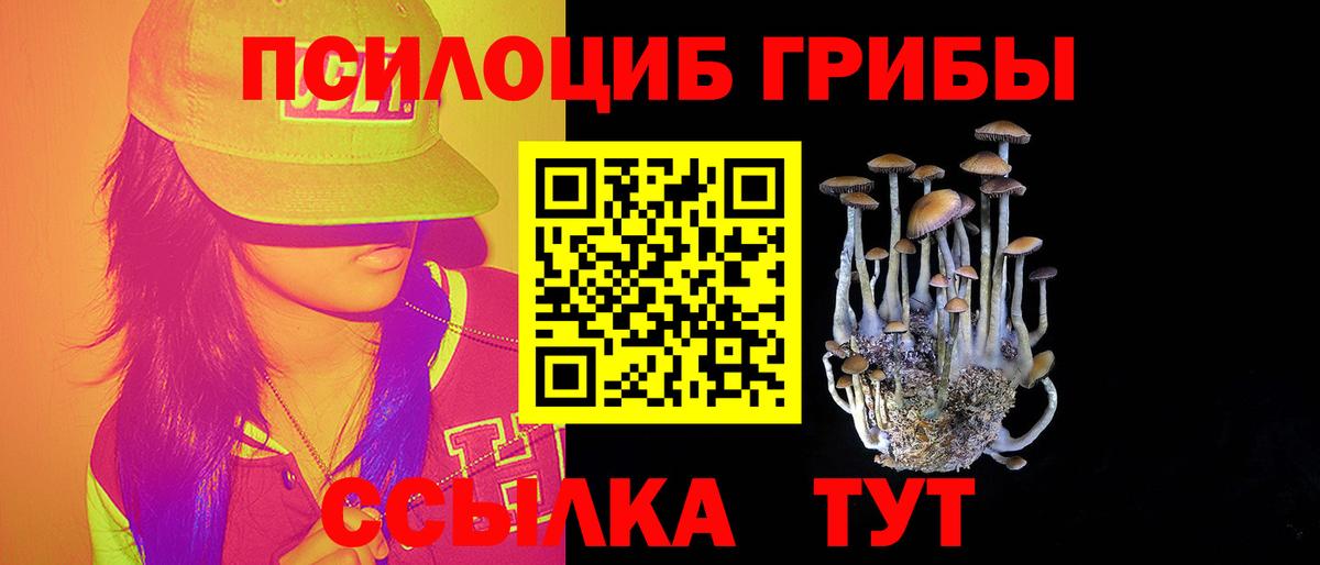 Галлюциногенные грибы MAGIC MUSHROOMS Биробиджан
